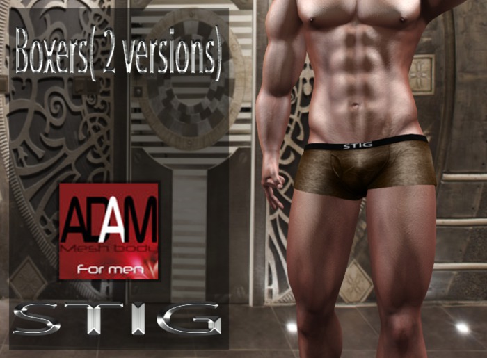 Boxers Adam ( 2 versions) brown
