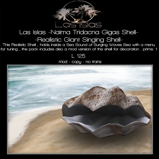 Las Islas -Sculpt Shell-Tridacna Gigas-Slex