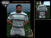 Striped Auqa Tee