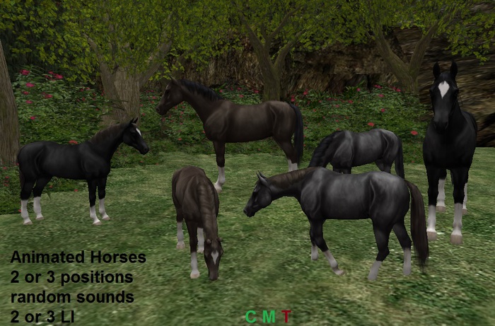 Animated Horses, low LI