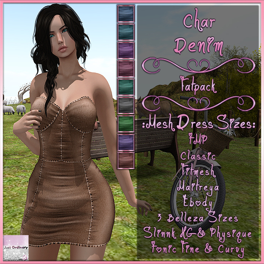 Char Dress Denim Fatpack