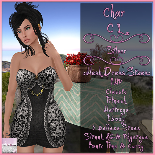 Char Dress CL Silver
