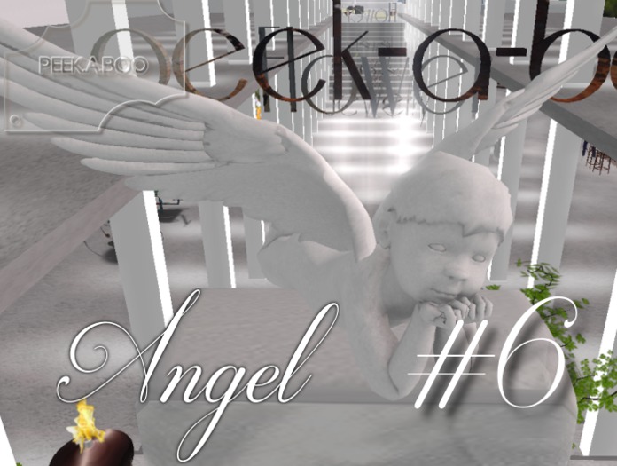 p-a-b angel #6