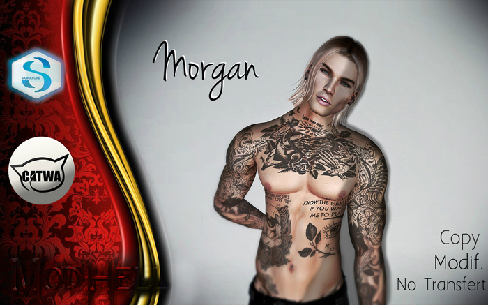 Morgan Bento Stanley Head Shape