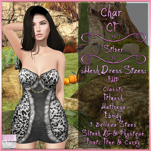 Char Dress CF Silver