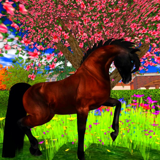Liver chestnut-teegle