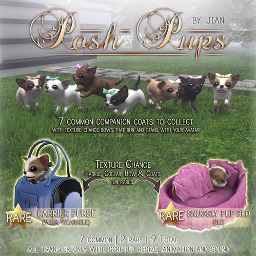 JIAN Posh Pups :: White (BOX)