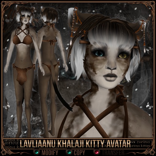 =^.^= Curious Kitties - Lavliaanu Khalaji Kitty Avatar