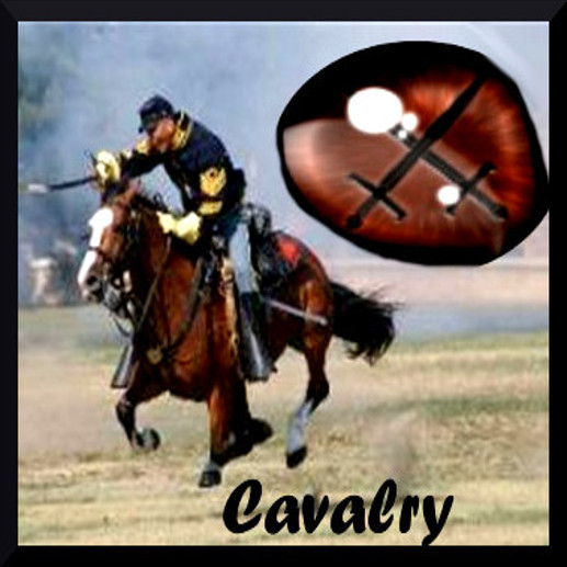 Amaretto Horses! Cavalry Eye Texture