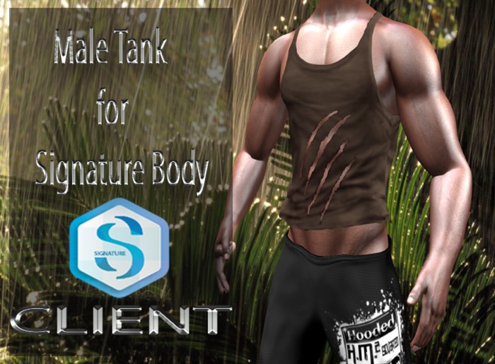 T-Shirt Signature brown