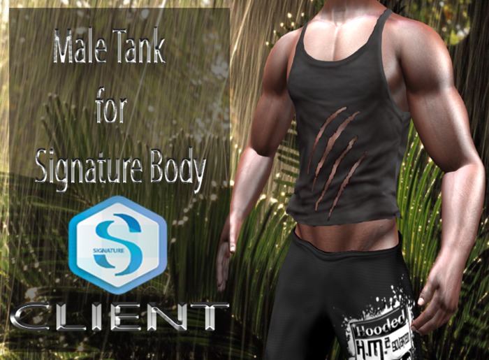 T-Shirt Signature gray d