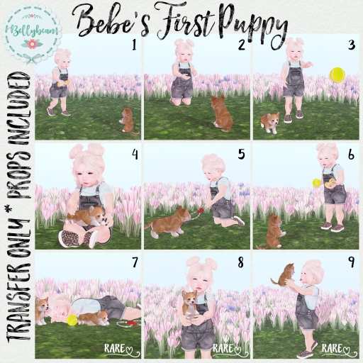{ Bellybean } Bebe's First Puppy // 2' 