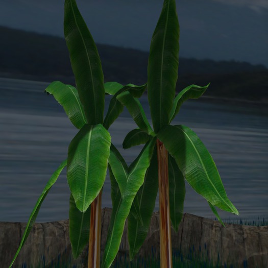 Unity Empire Banana Trees