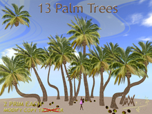 Tree. Palm 6 fatpack by Wild Motley