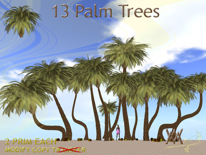 Tree. Palm 4 fatpack by Wild Motley