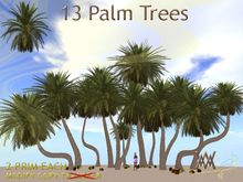 Tree. Palm 1 fatpack by Wild Motley