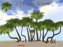 Tree. Palm 5 fatpack by Wild Motley