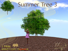 Tree, Summertree 3 by Wild Motley