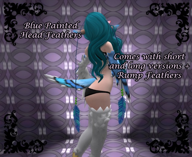 *PP* Blue Painted Head feathers *Boxed*