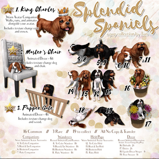 JIAN Splendid Spaniels E*BOX 1. King Charles RARE