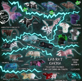 Schadenfreude Bones 2 Head Running Lab Rat