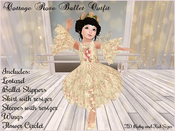 Cottage Rose Ballet Outfit