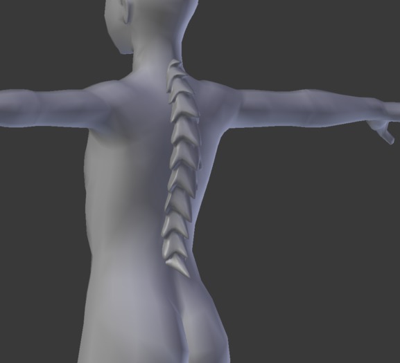 Spine Fluff 4 pack