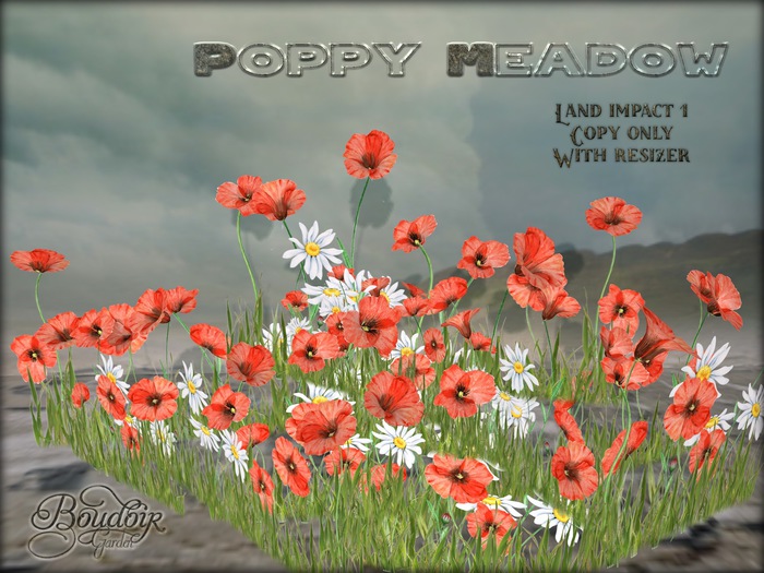 Poppy Meadow