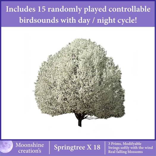 Springtree X18