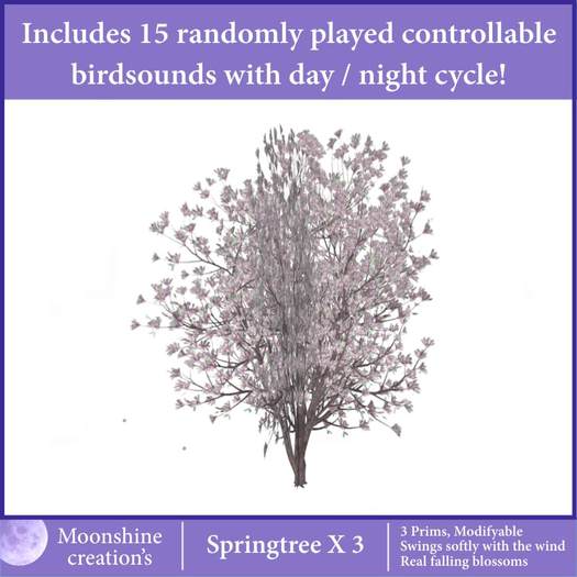 Springtree X3