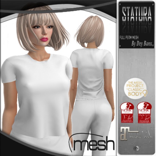 Simple-top Full Perm DEMO