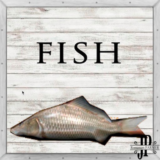 100x Salted Fish [G&S]