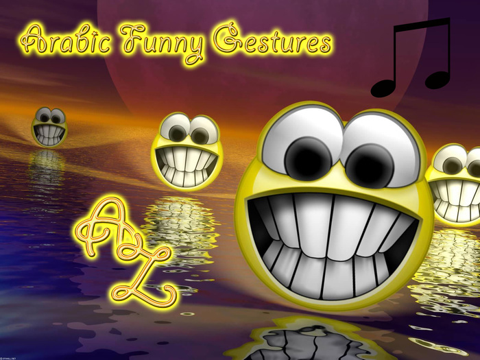 Arabic Funny Gestures (Boxed)