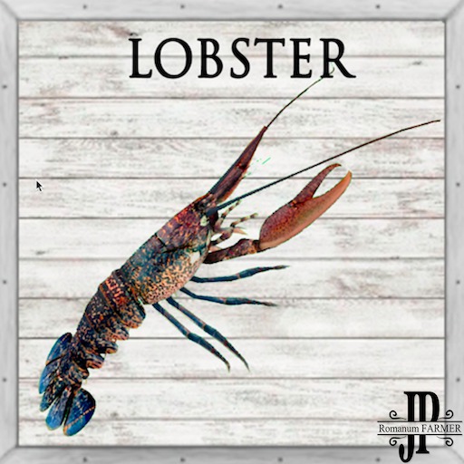 20x Salted Lobster [G&S]