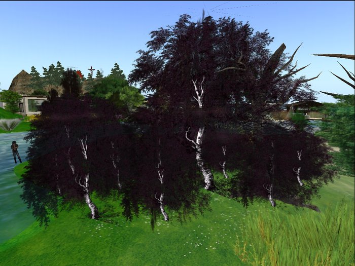 box Purple birch trees v21 ad 2 prims