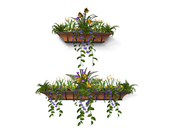 MSD - Window Box Planter - Set of Two - Whitney  (10-13 LI) C/M