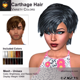 A&A Carthage Hair Variety Colors, boxed