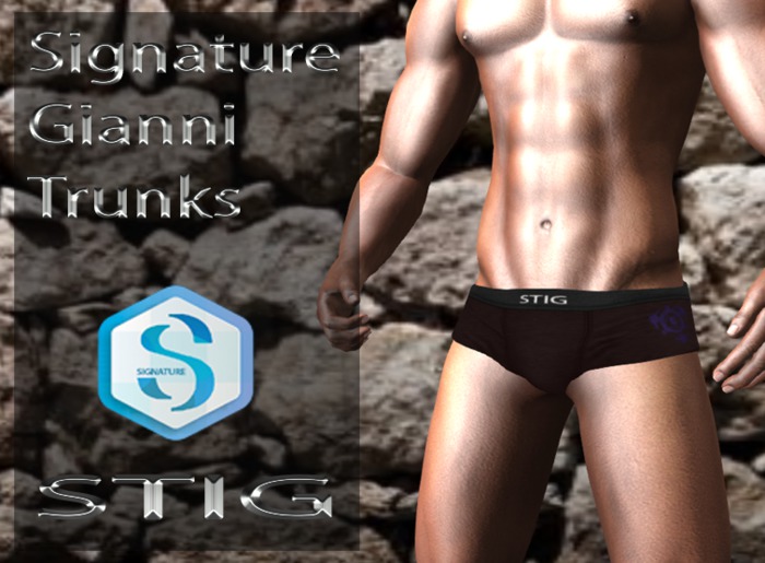 Signature Gianni  Trunks  brown 1