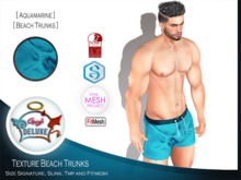 Angel DELUXE - Aquamarine Beach Trunks - FITMESH + TMP + SLINK + SIGNATURE
