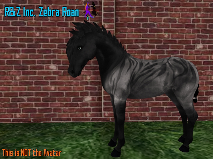 R&Z Inc. Zebra Roan Teegle coat