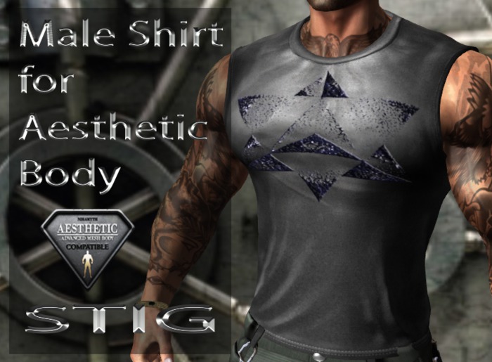 Male Shirt for Aesthetic Body
