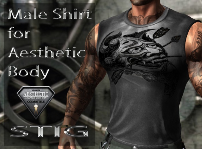 Male Shirt for Aesthetic Body