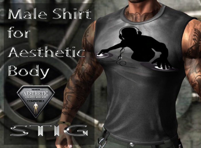 Male Shirt for Aesthetic Body