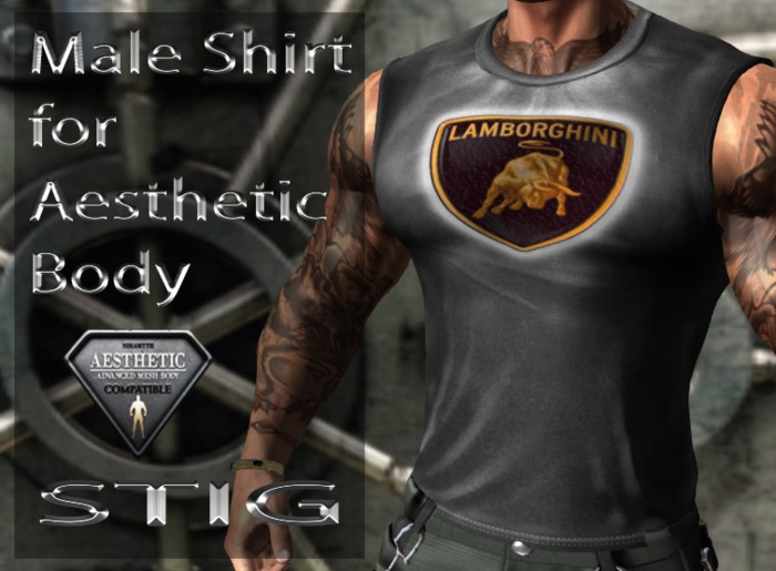 Male Shirt for Aesthetic Body