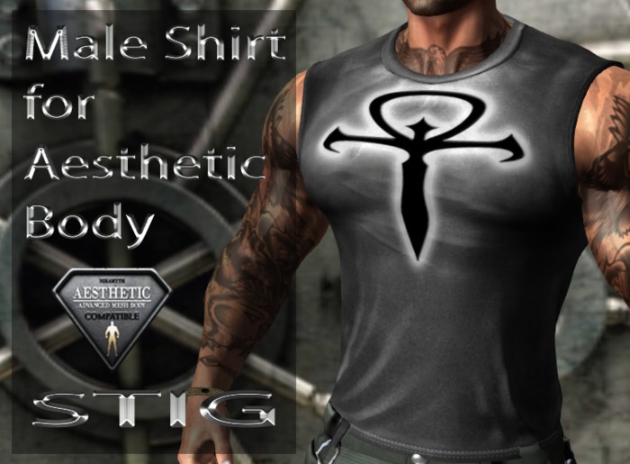 Male Shirt for Aesthetic Body