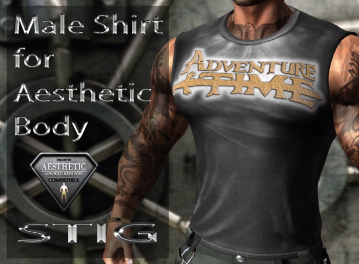 Male Shirt for Aesthetic Body