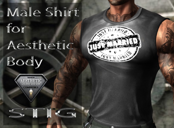 Male Shirt for Aesthetic Body