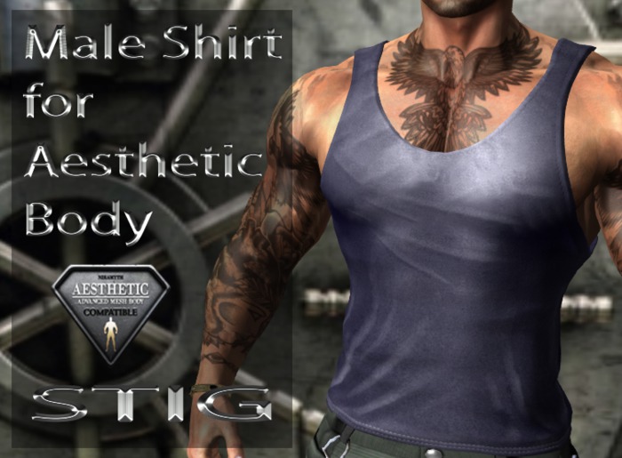 Male Tank Top Fitted Mesh for Aesthetic Body 
