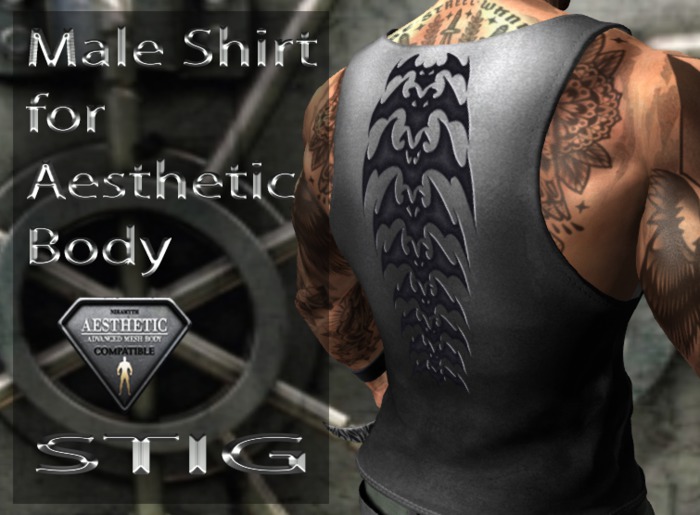 Male Tank Top Fitted Mesh for Aesthetic Body