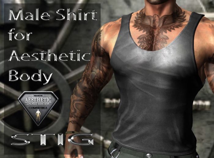 Male Tank Top Fitted Mesh for Aesthetic Body